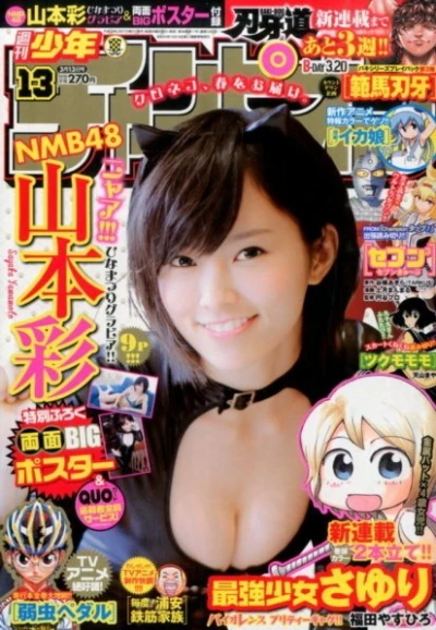 Cover of No. 13, 2014