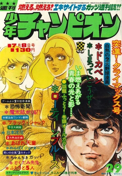 Cover of No. 29, 1974