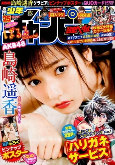 Cover of No. 25, 2015