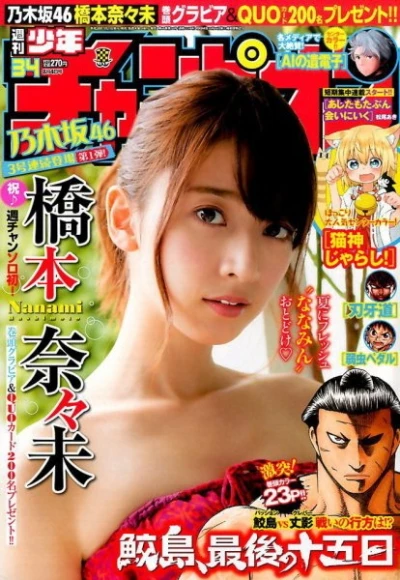 Cover of No. 34, 2016
