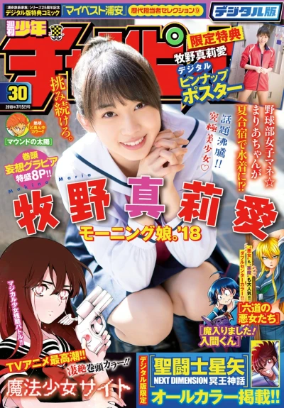 Cover of No. 30, 2018
