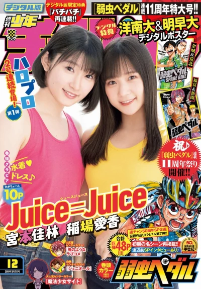 Cover of No. 12, 2019