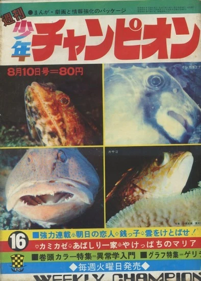 Cover of No. 16, 1970