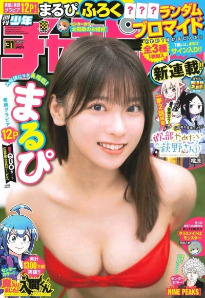 Cover of No. 31, 2023