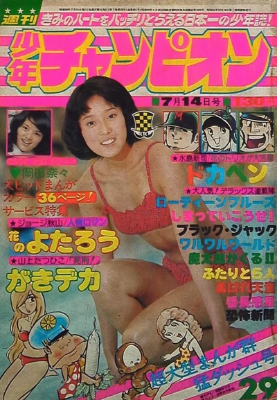 Cover of No. 29, 1975