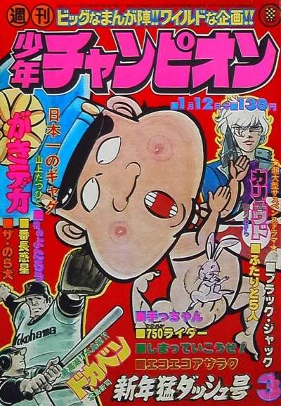 Cover of No. 3, 1976