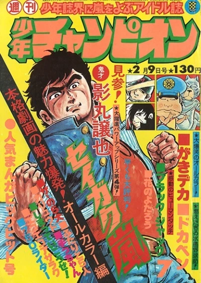 Cover of No. 7, 1976