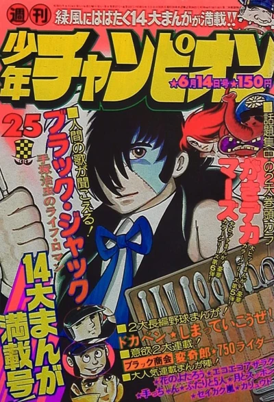 Cover of No. 25, 1976