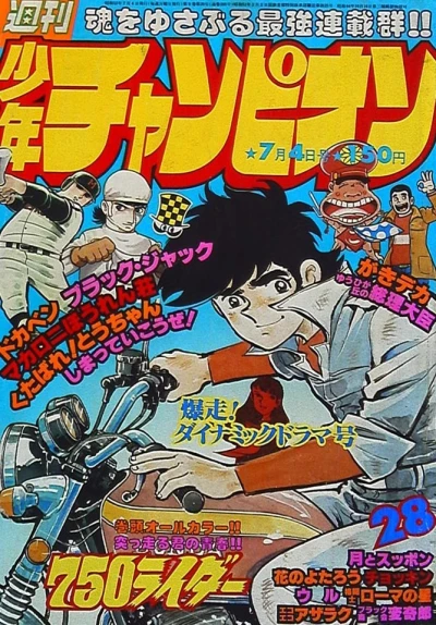 Cover of No. 28, 1977