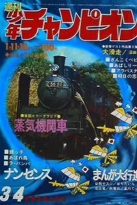 No. 3-4, 1971