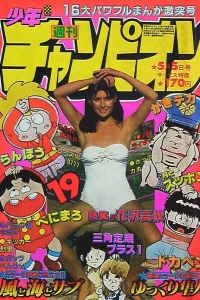 No. 19, 1980