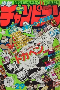 No. 29, 1980