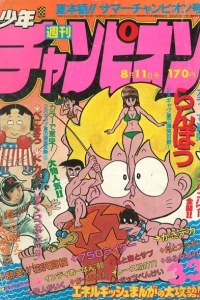 No. 33, 1980
