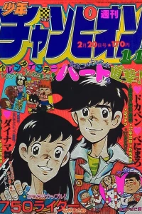 No. 11, 1981