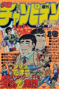 No. 13, 1981