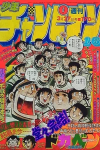 No. 16, 1981