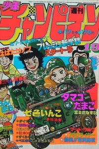 No. 19, 1981