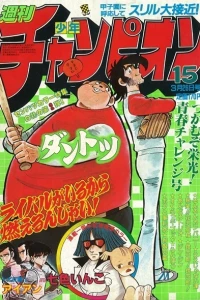 No. 15, 1982