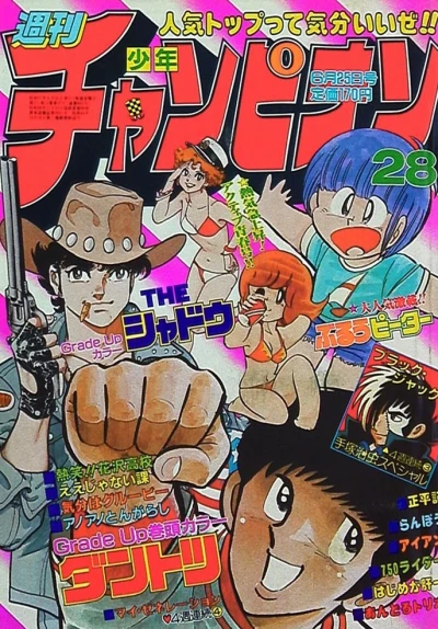 Cover of No. 28, 1982