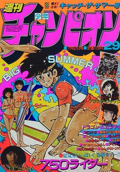 Cover of No. 29, 1982