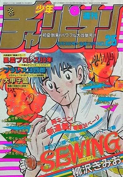 Cover of No. 25, 1983