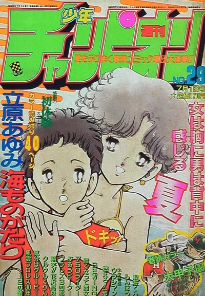 Cover of No. 29, 1983