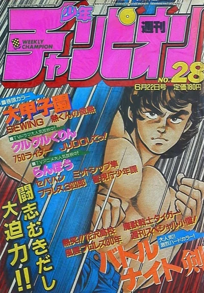 Cover of No. 28, 1984