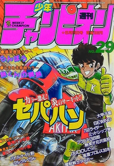 Cover of No. 29, 1984