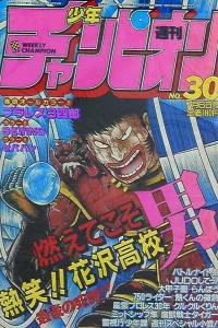 No. 30, 1984