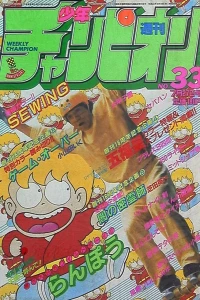 No. 33, 1984