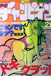No. 21, 1985