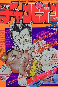 No. 30, 1985