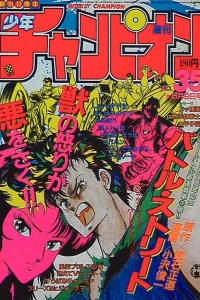 No. 35, 1985