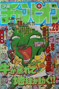 No. 28, 1987