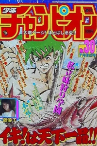 No. 30, 1987