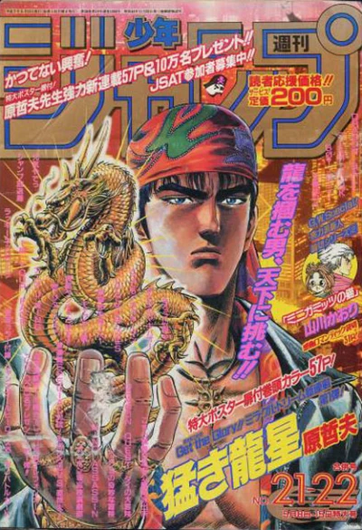 Cover of No. 21-22, 1995