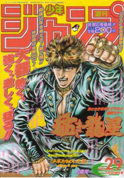 Cover of No. 29, 1995