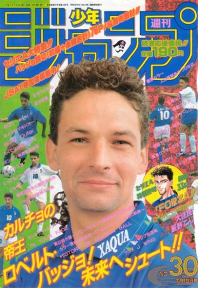 Cover of No. 30, 1995