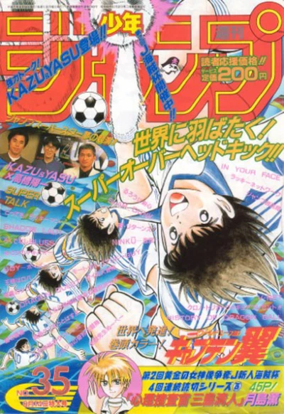 Cover of No. 35, 1995