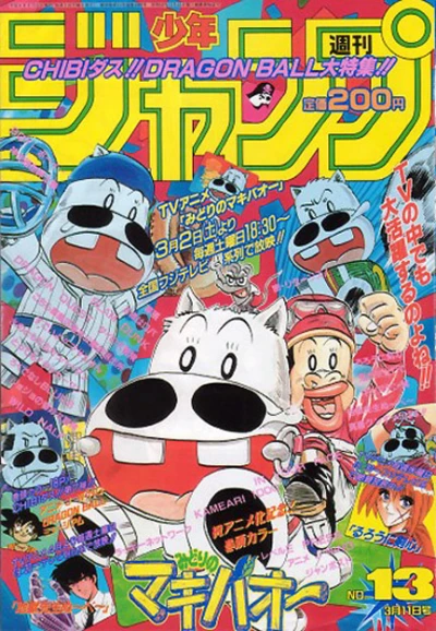 Cover of No. 13, 1996