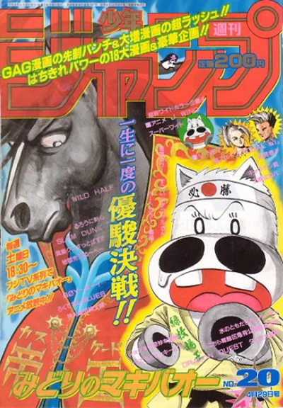 Cover of No. 20, 1996