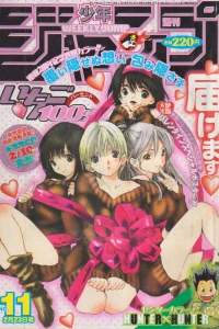 No. 11, 2004