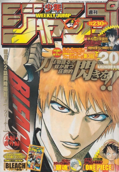 Cover of No. 20, 2004