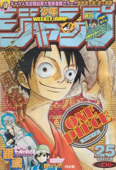 Cover of No. 25, 2004