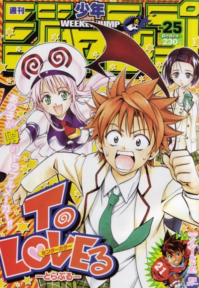 Cover of No. 25, 2006