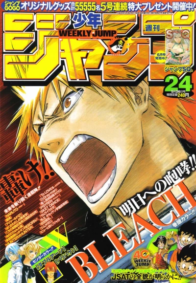 Cover of No. 24, 2008
