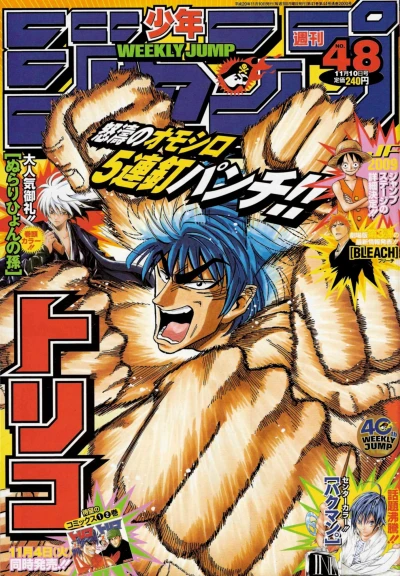 Cover of No. 48, 2008