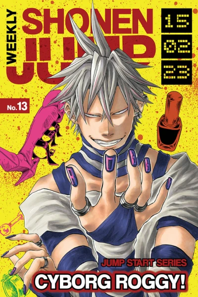 Cover of No. 13, 2015