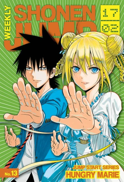 Cover of No. 13, 2017