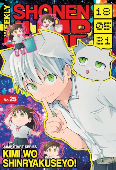 Cover of No. 25, 2018